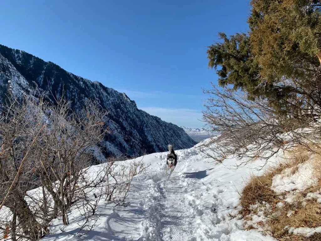 Hiking Church Creek to Pipeline Overlook Trail