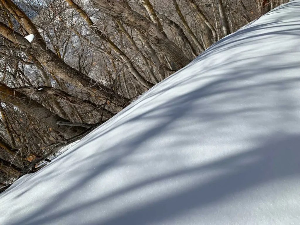 Hiking Church Creek to Pipeline Overlook Trail