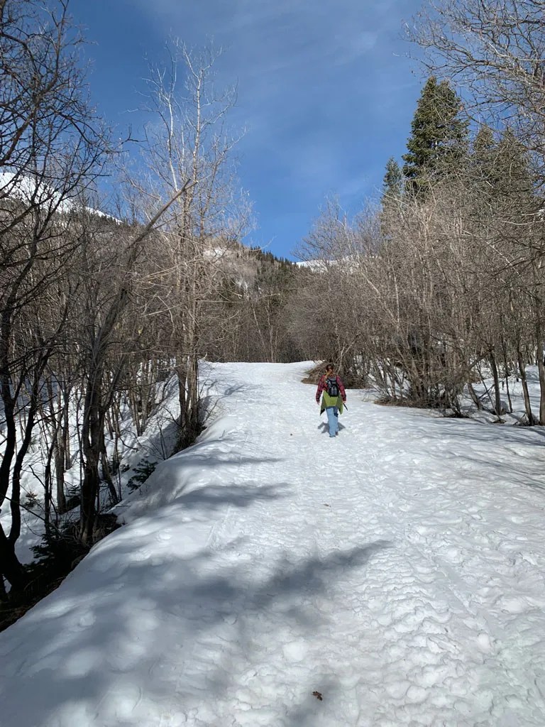 Spring Hike to Silver Lake Flat Reservoir