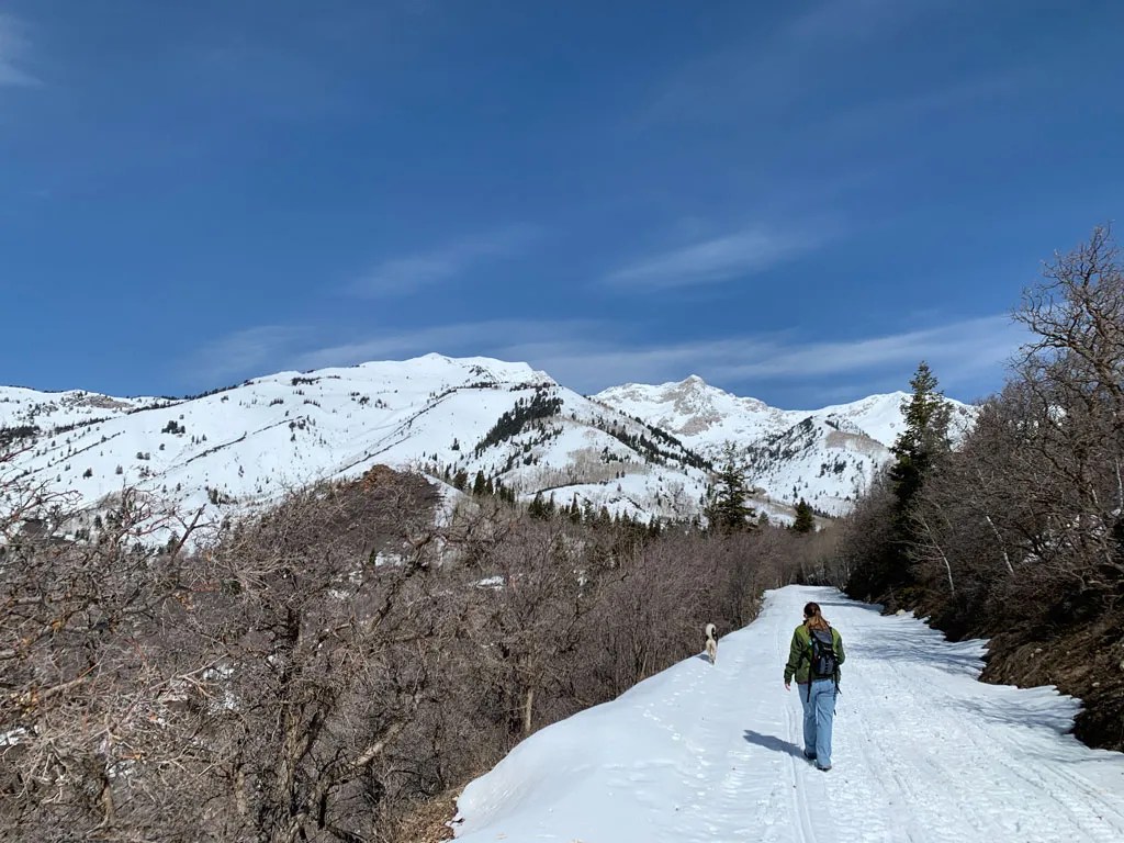 Spring Hike to Silver Lake Flat Reservoir