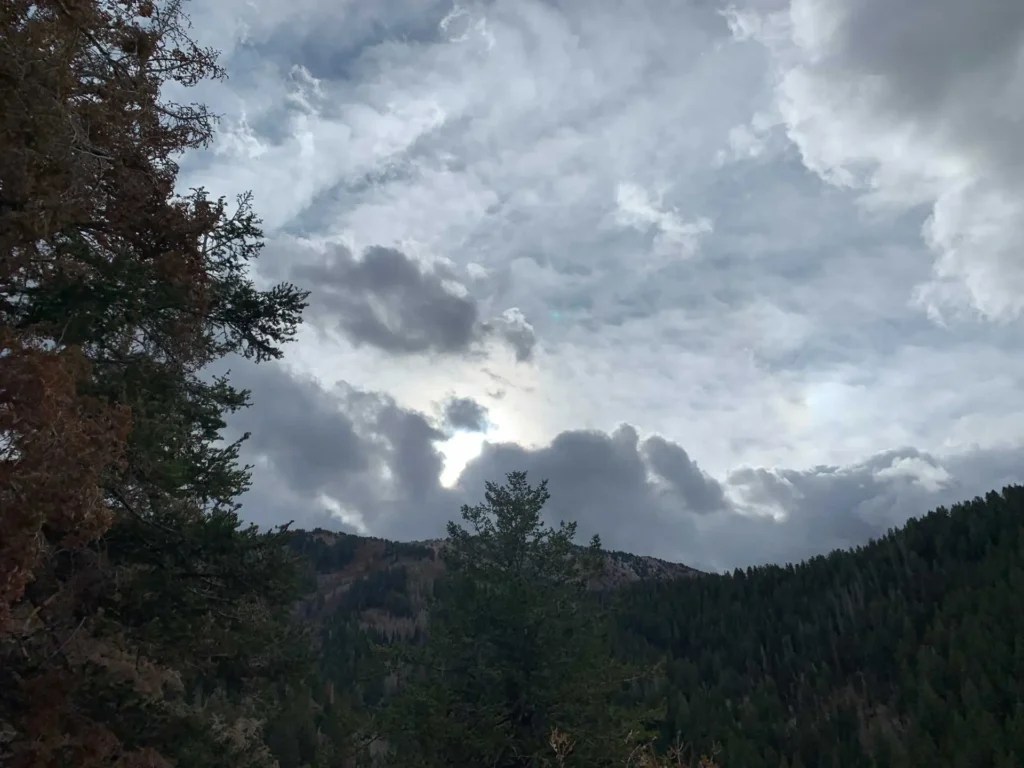 Bowman Fork Trail