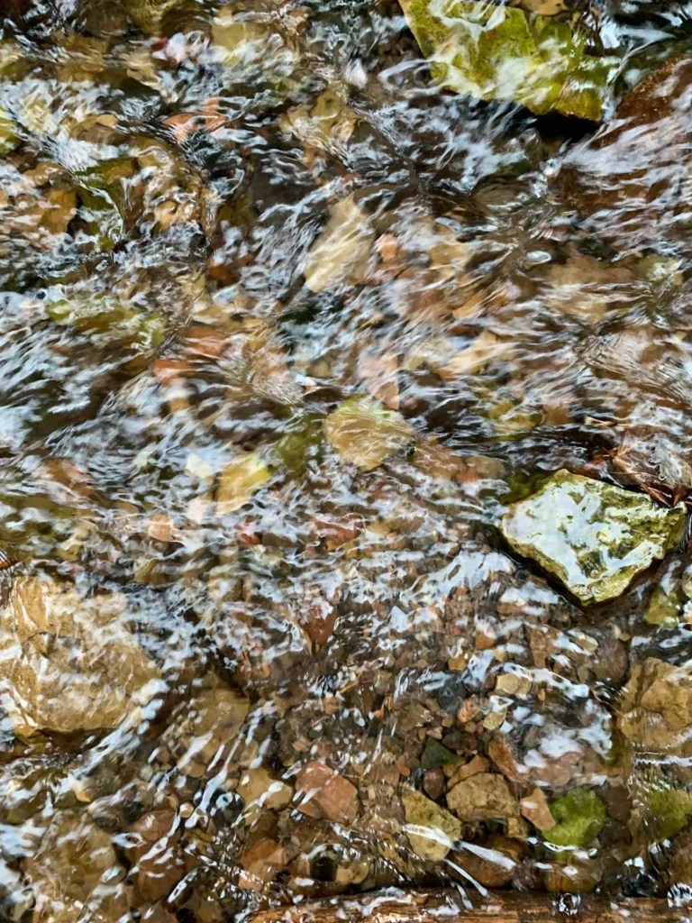 Bowman Fork Trail