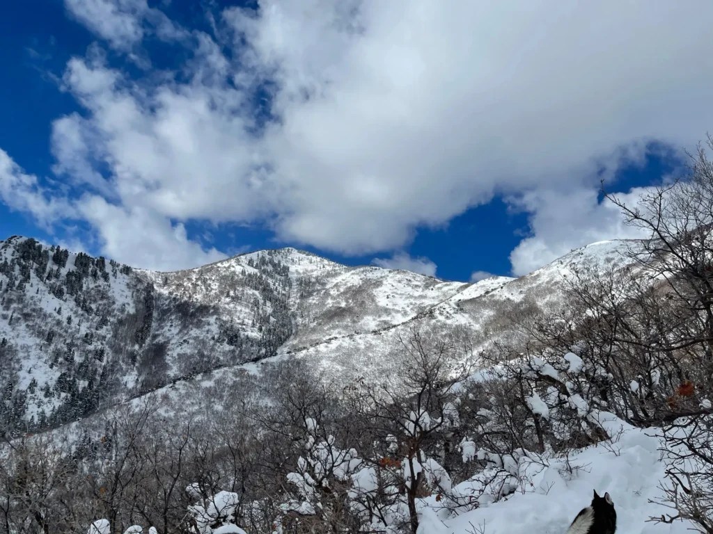 Crampon Hiking Grandeur Peak East Trail from Church Fork