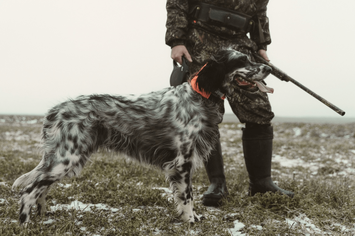 Rules for the storage of hunting weapon