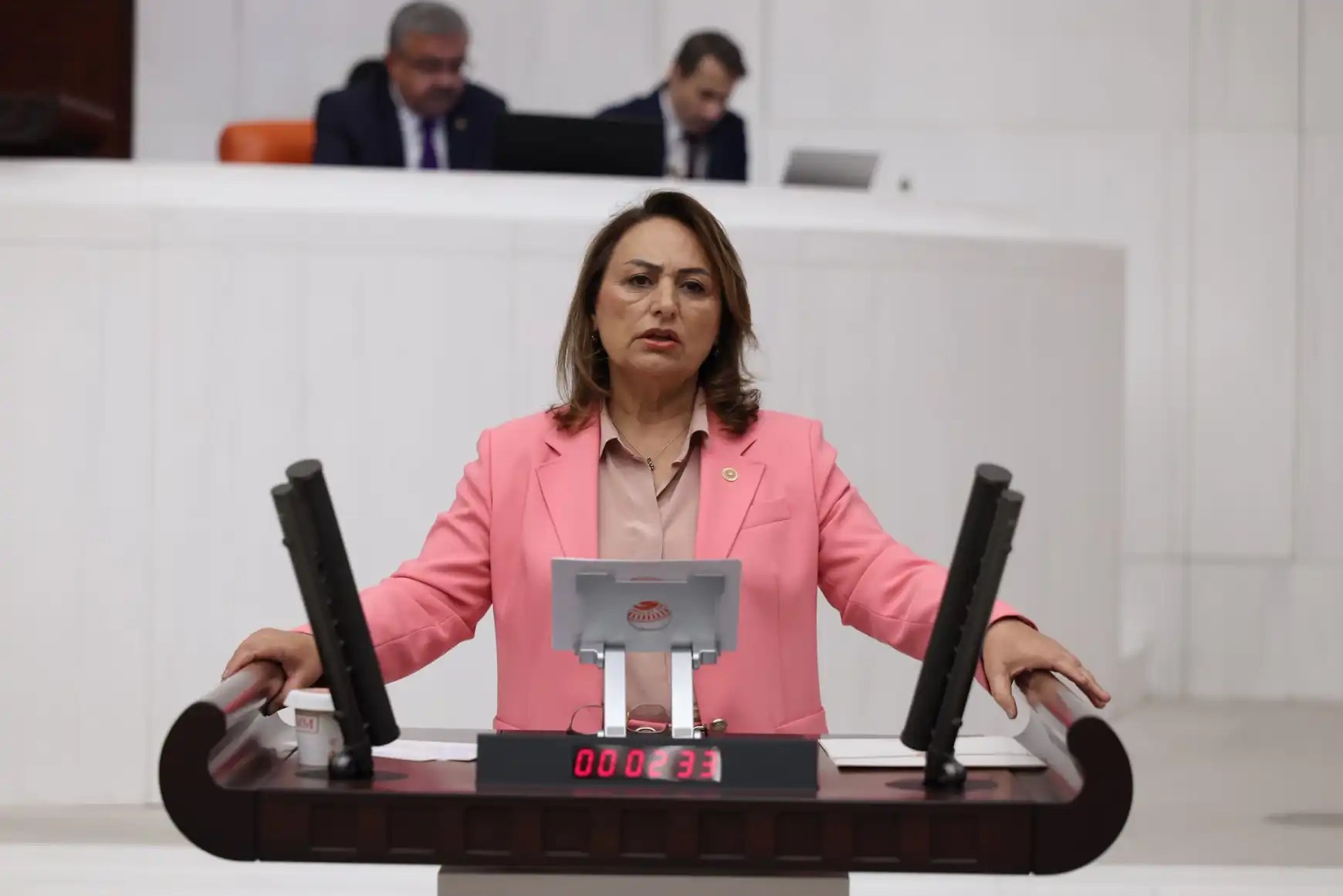 CHP’li Müzeyyen Şevkin’den Barış İçin Eşit Yurttaşlık Ve Adalet Çağrısı