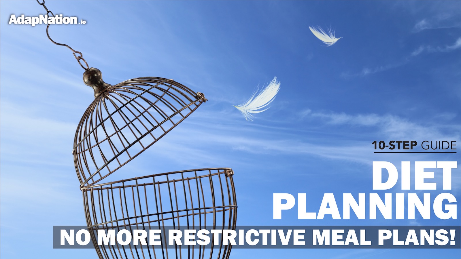 10 Step Guide to Diet Planning Feature