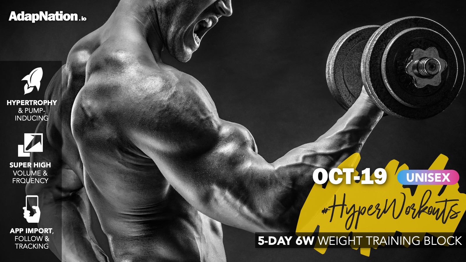 Free Gym Workout Plans Adapnation Hyperworkouts
