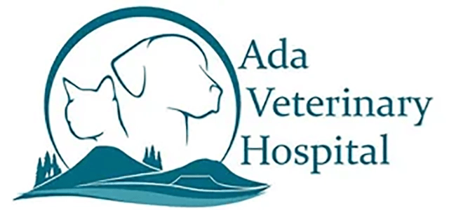 Experienced veterinarians in meridian, id