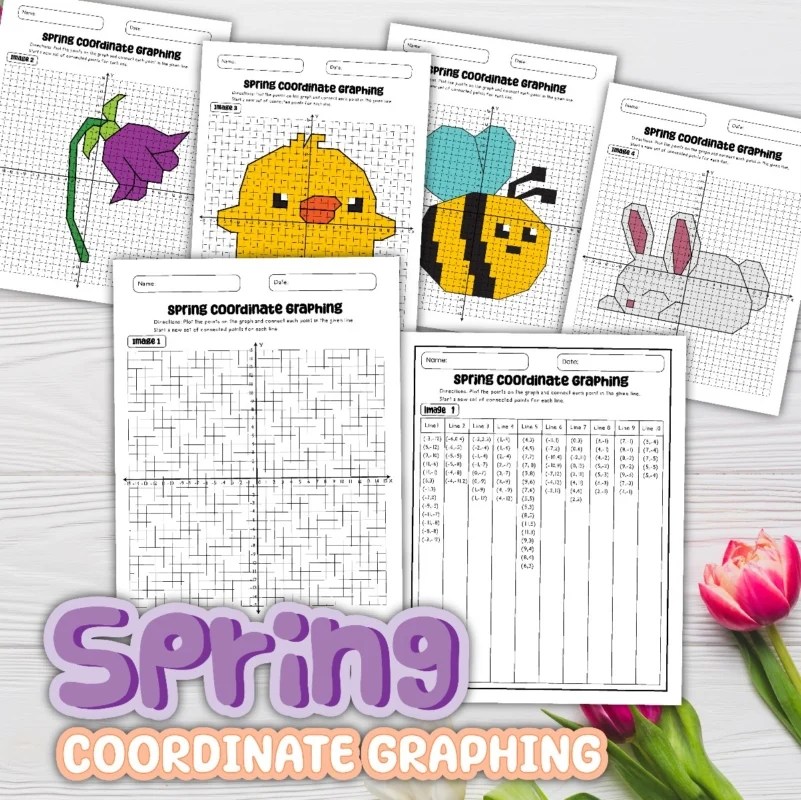 8 Free Spring Coordinate Graphing Worksheets Printable PDF With Answer Spring Coordinate Graphing Feature Image 801x800 