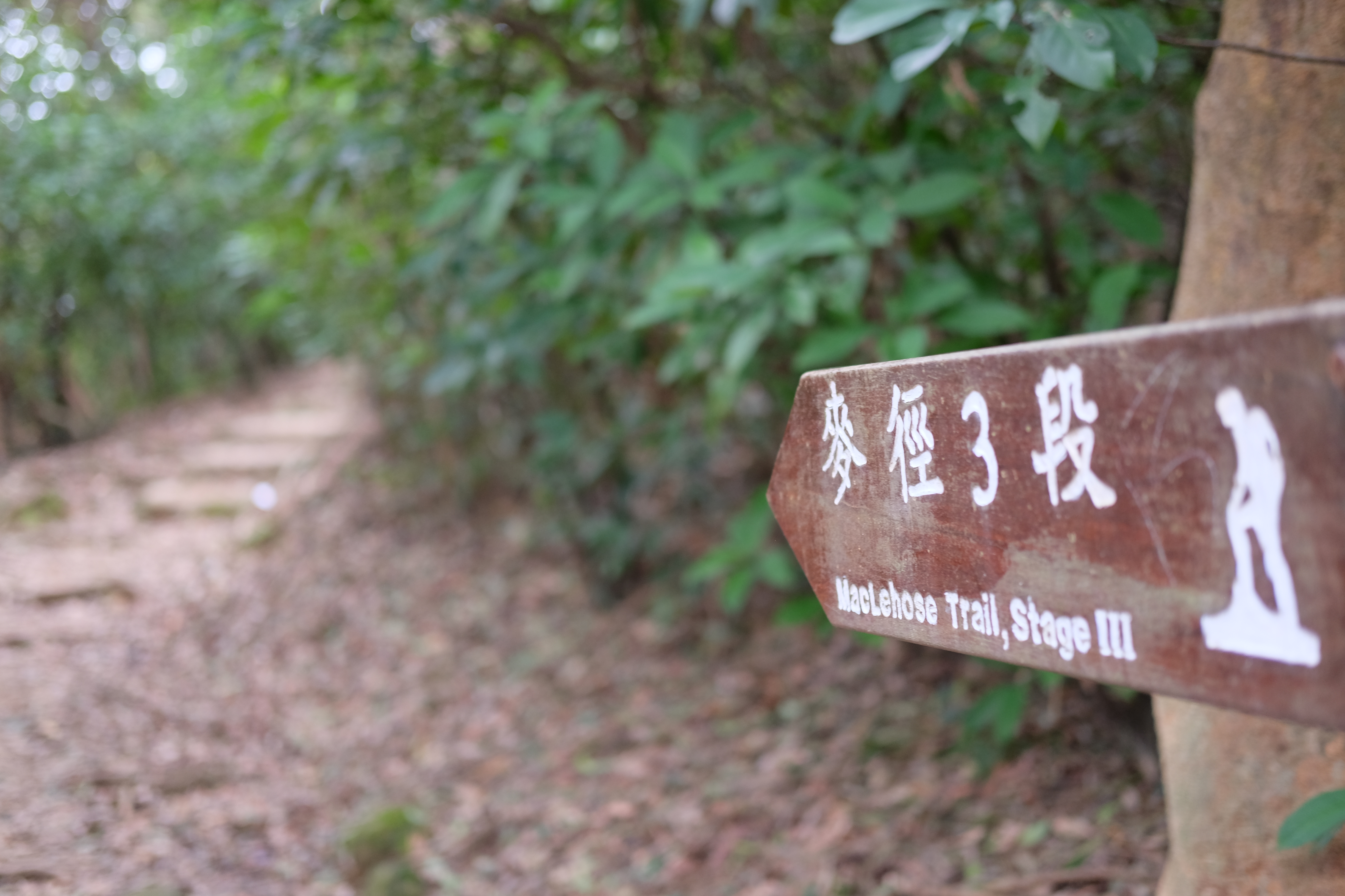 Maclohose No.3, Hong Kong