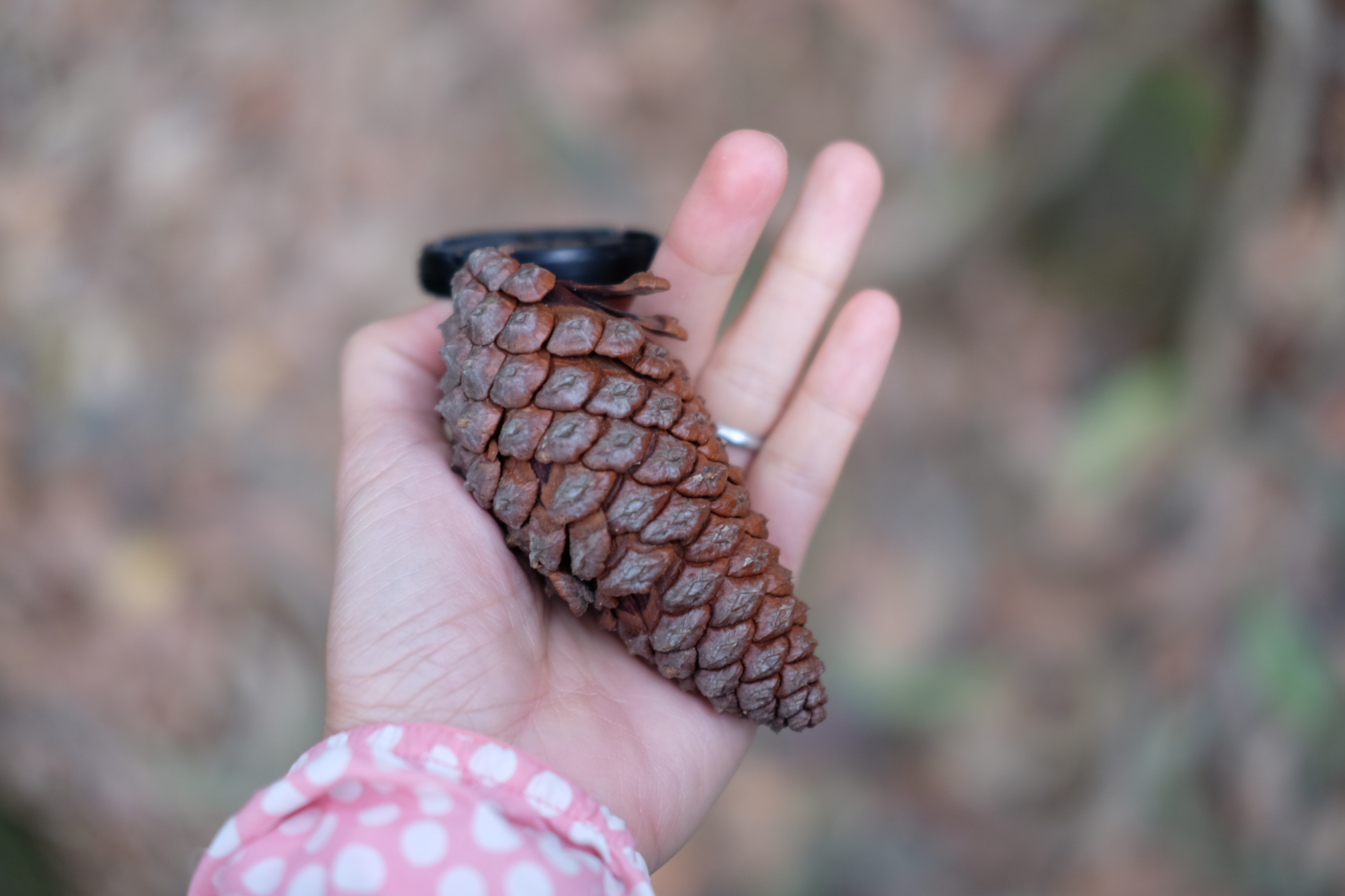 Maclohose No.3, Hong Kong