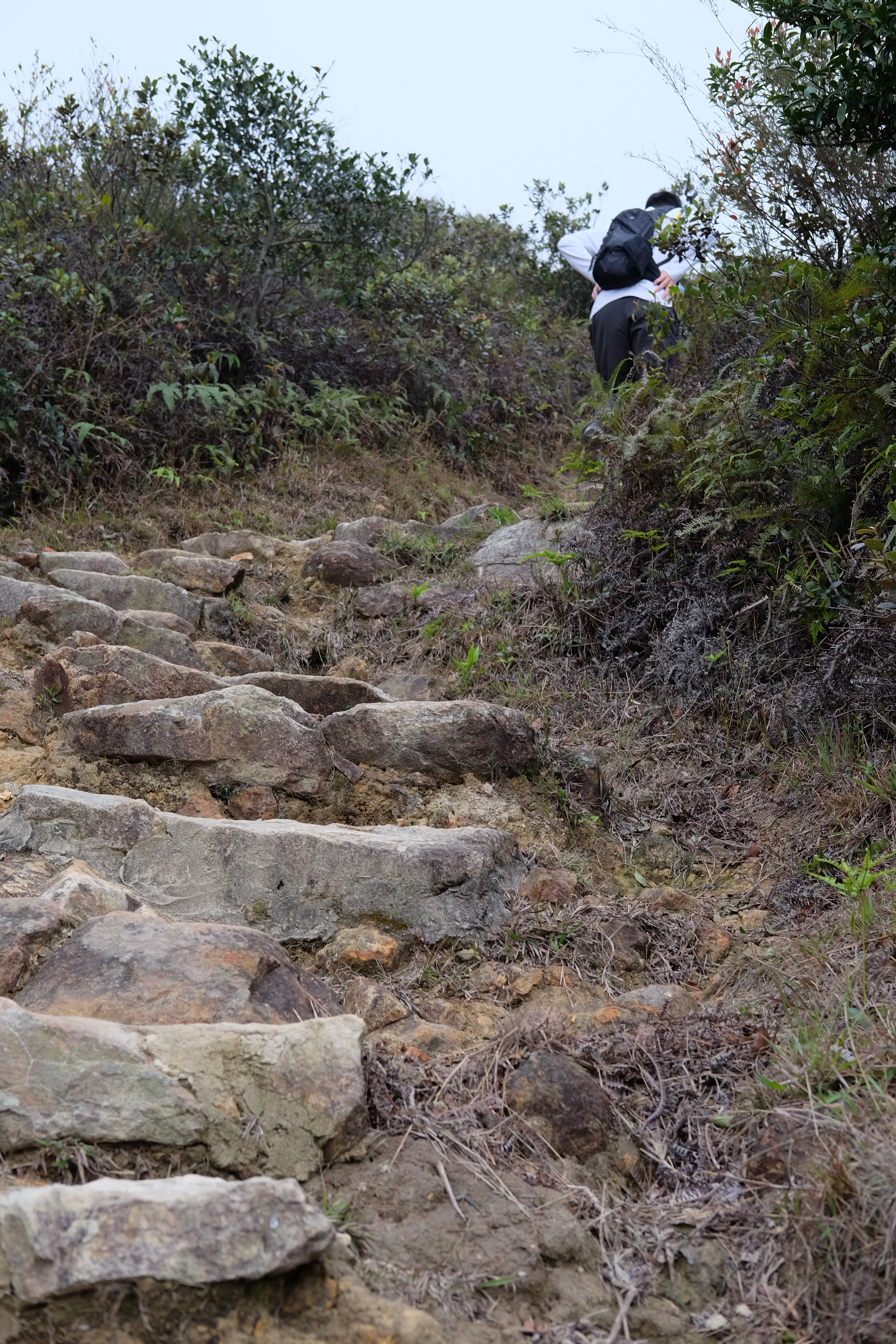 Maclohose No.3, Hong Kong