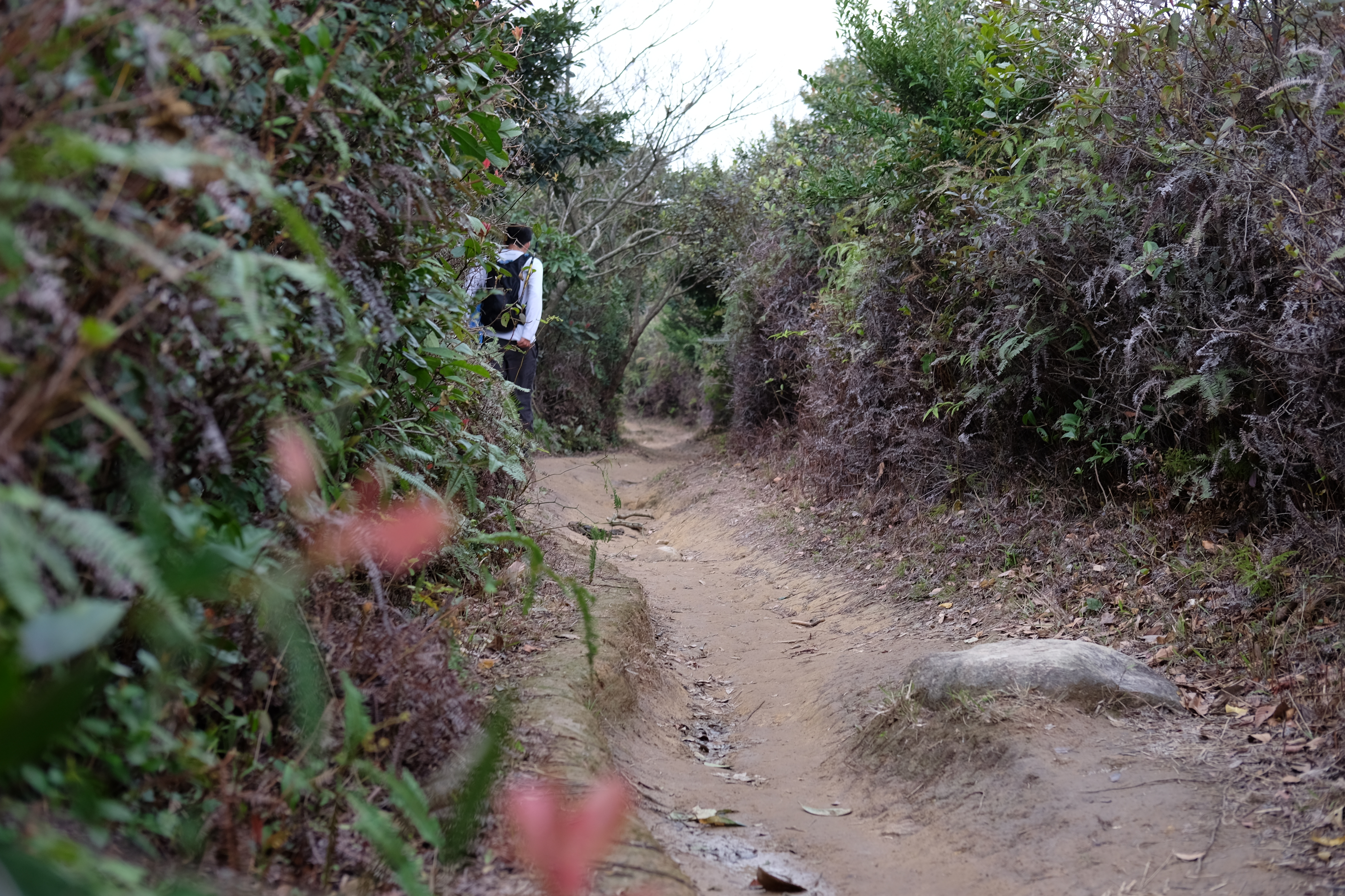 Maclohose No.3, Hong Kong