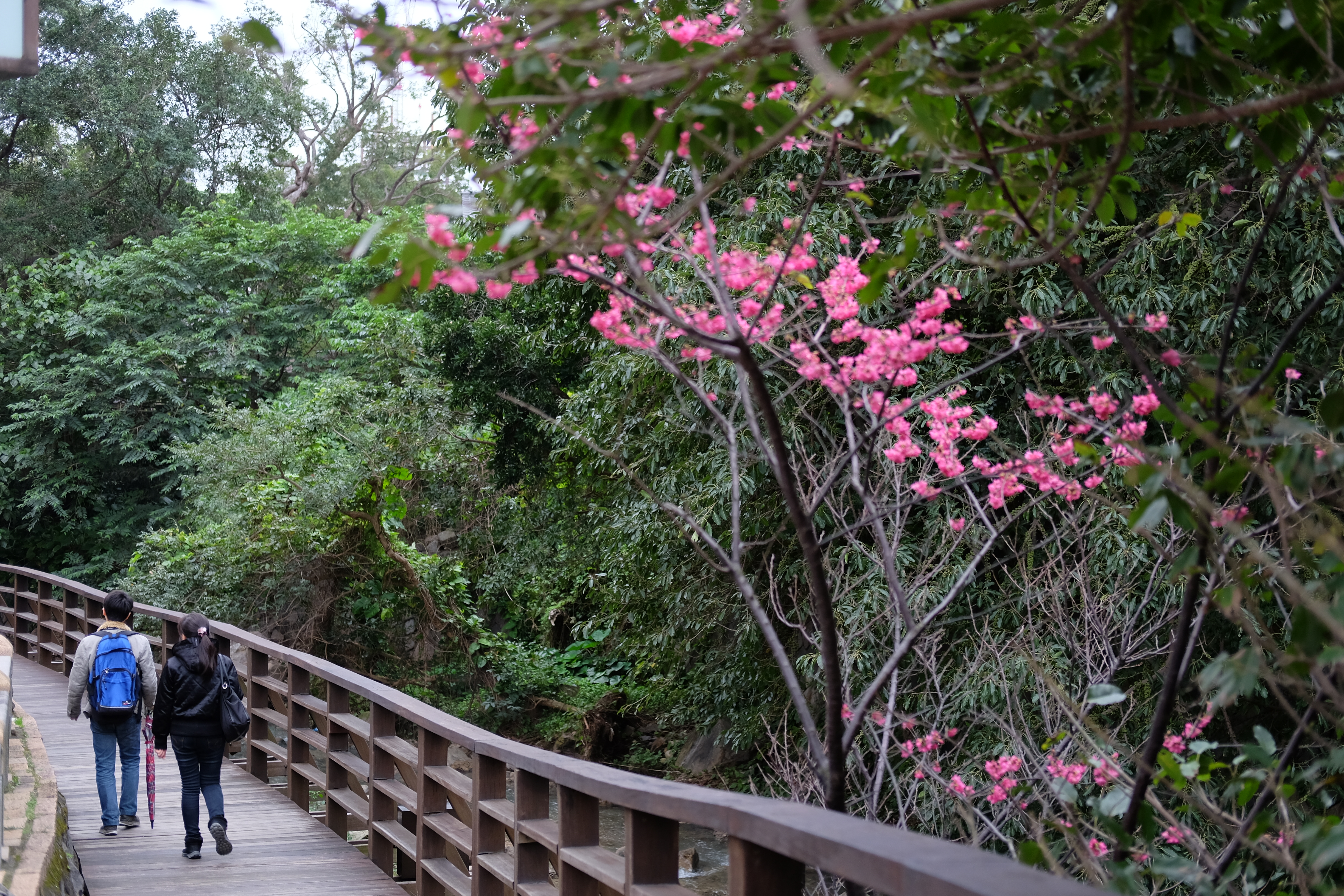 Beitou, Taipei, Taiwan