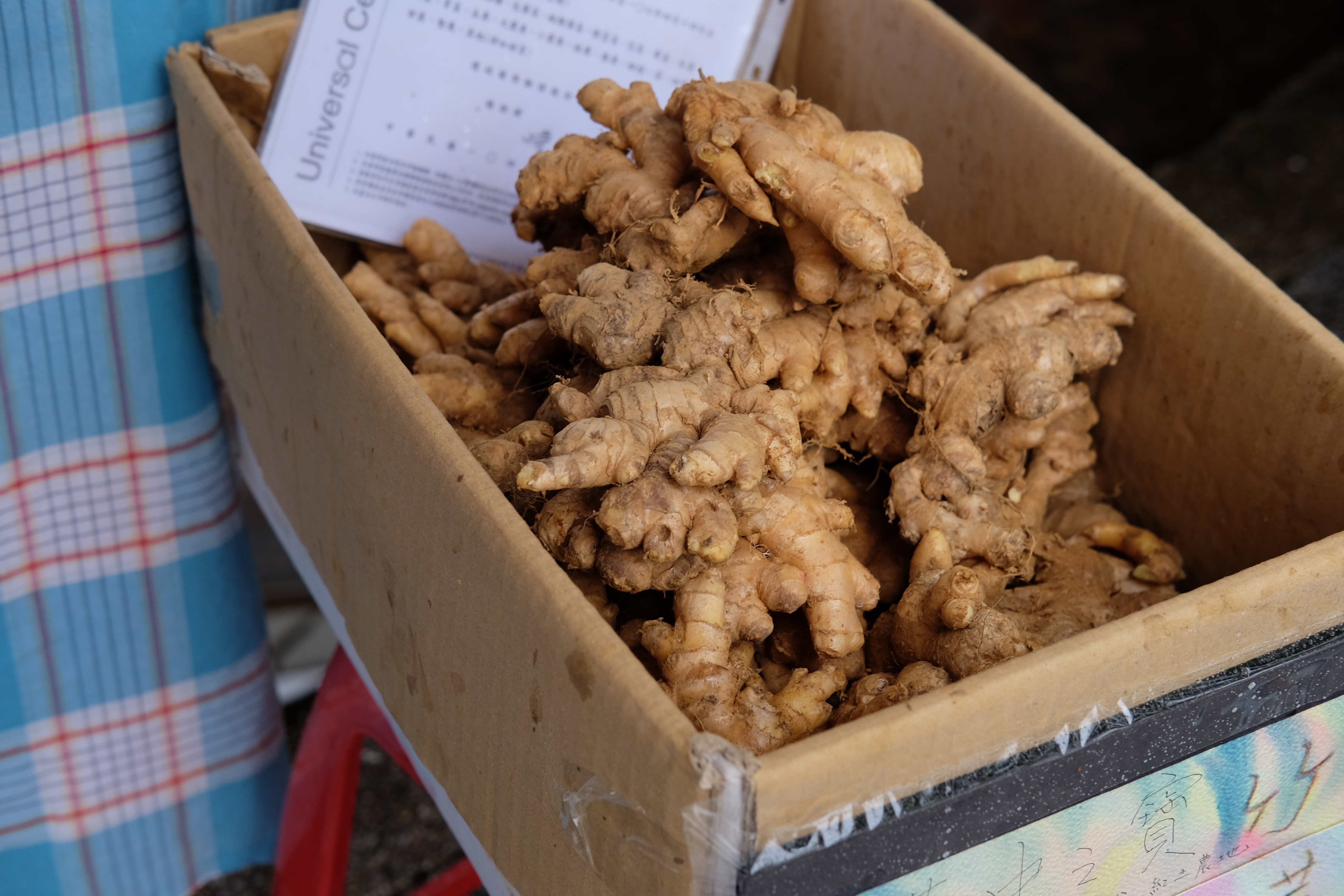 ขิงแง่งเล็ก แต่เผ็ดร้อนสะใจมากกกก