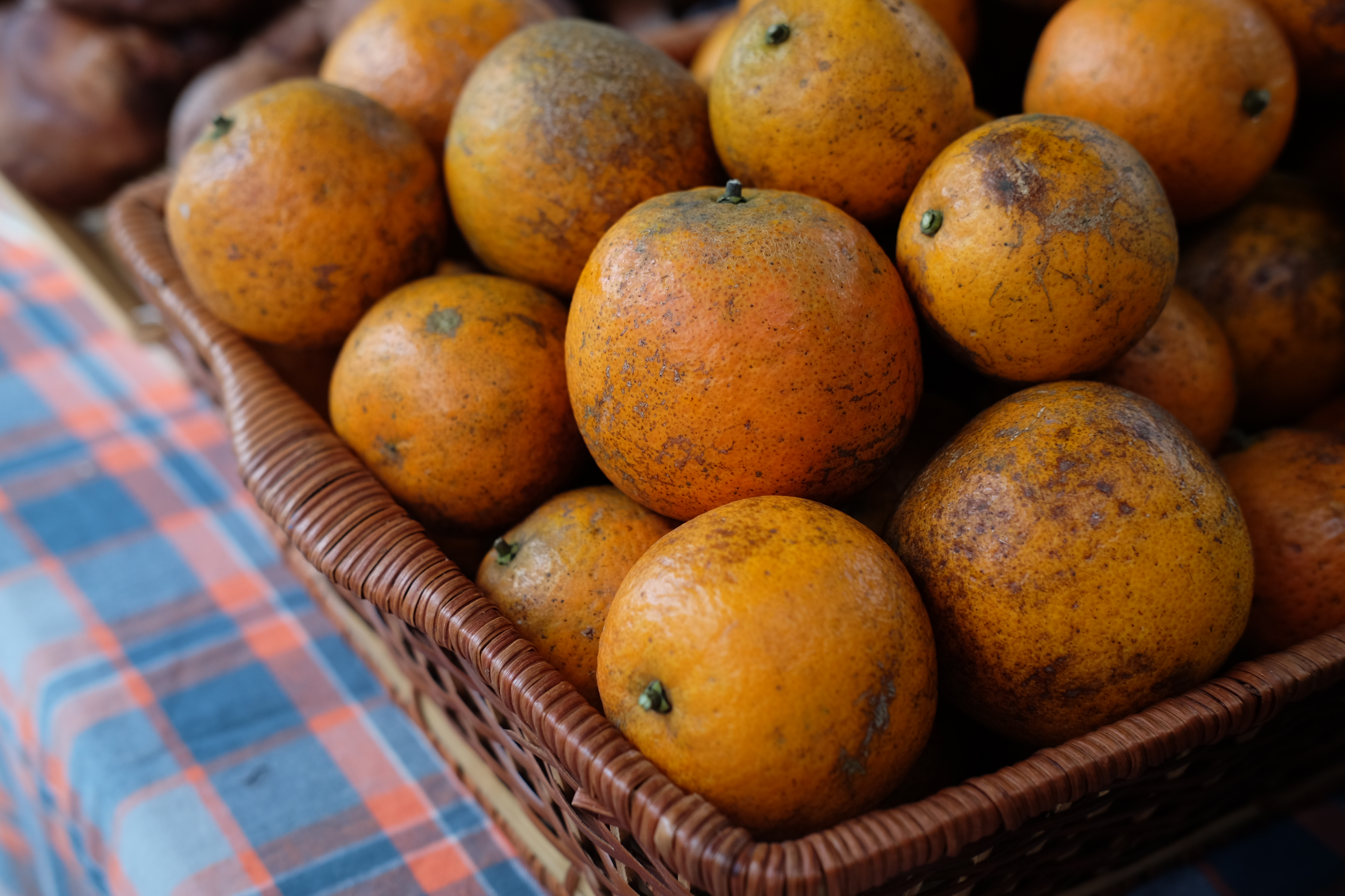 ส้มขายแบบชั่งน้ำหนัก จะเอากี่ลูกก็ได้ (ตกลูกละราว 20 บาท) / Water Garden organic Farmers Market, ไทเป ไต้หวัน