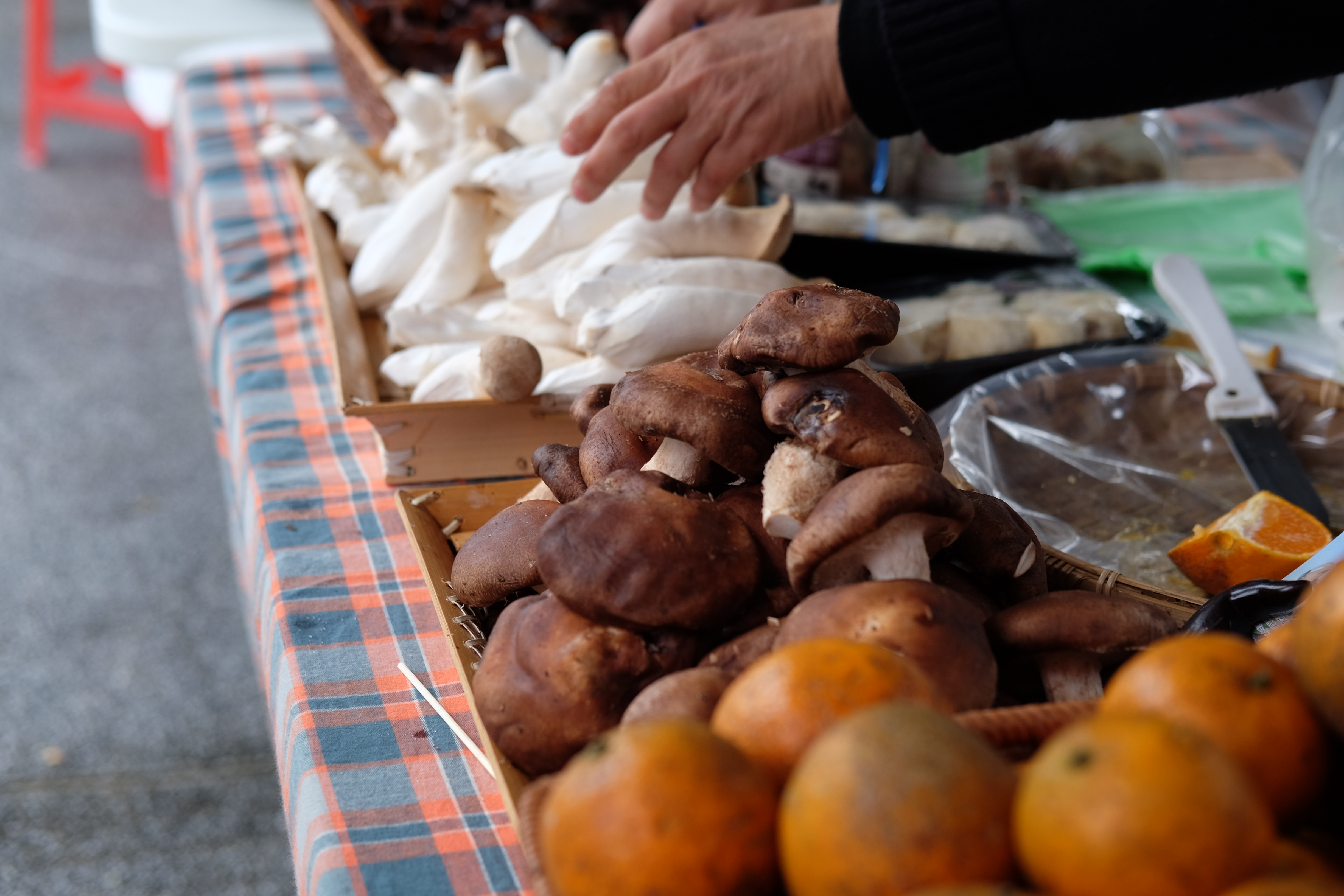 Water Garden organic Farmers Market, ไทเป ไต้หวัน