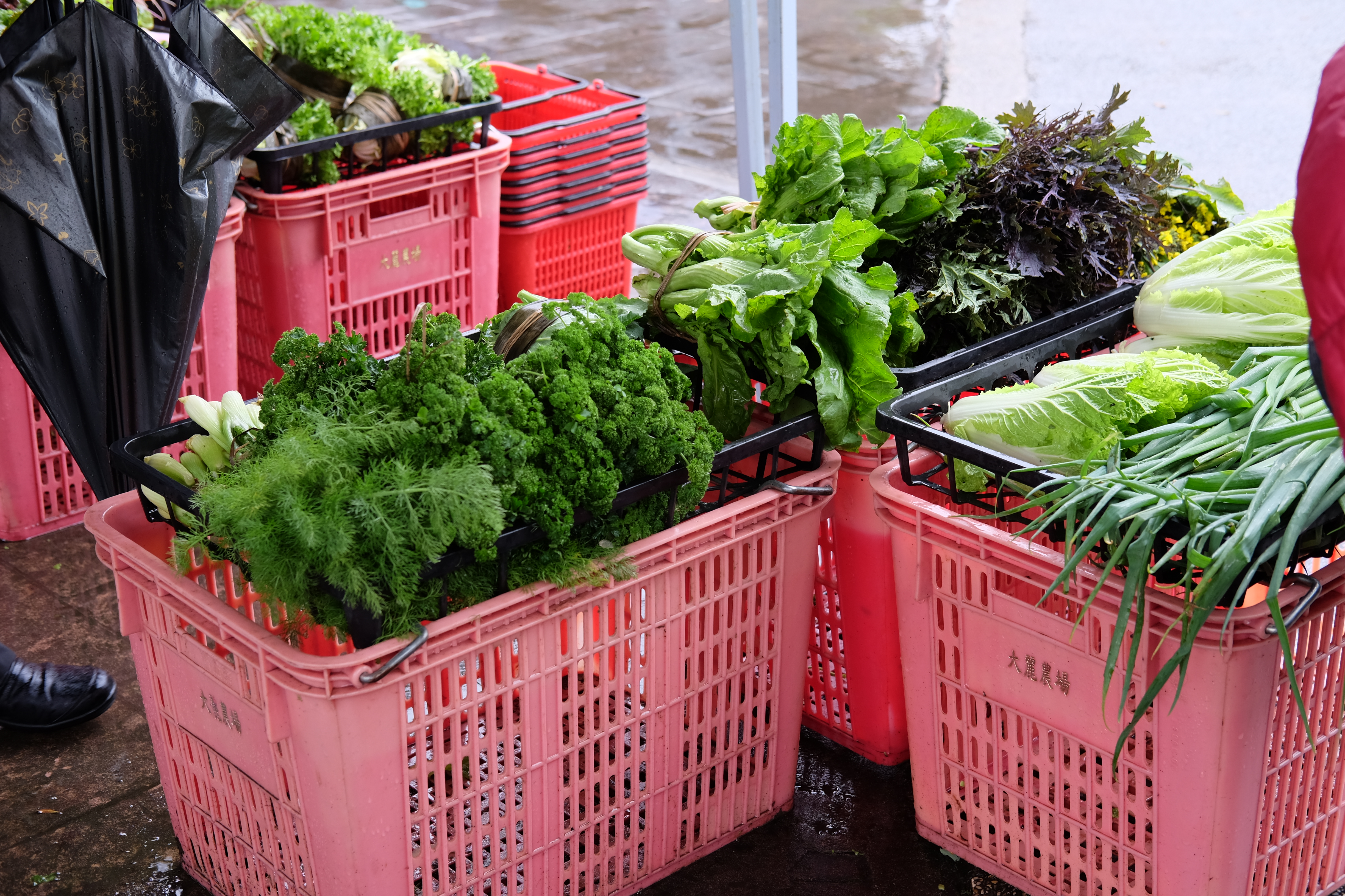 Water Garden organic Farmers Market, ไทเป ไต้หวัน