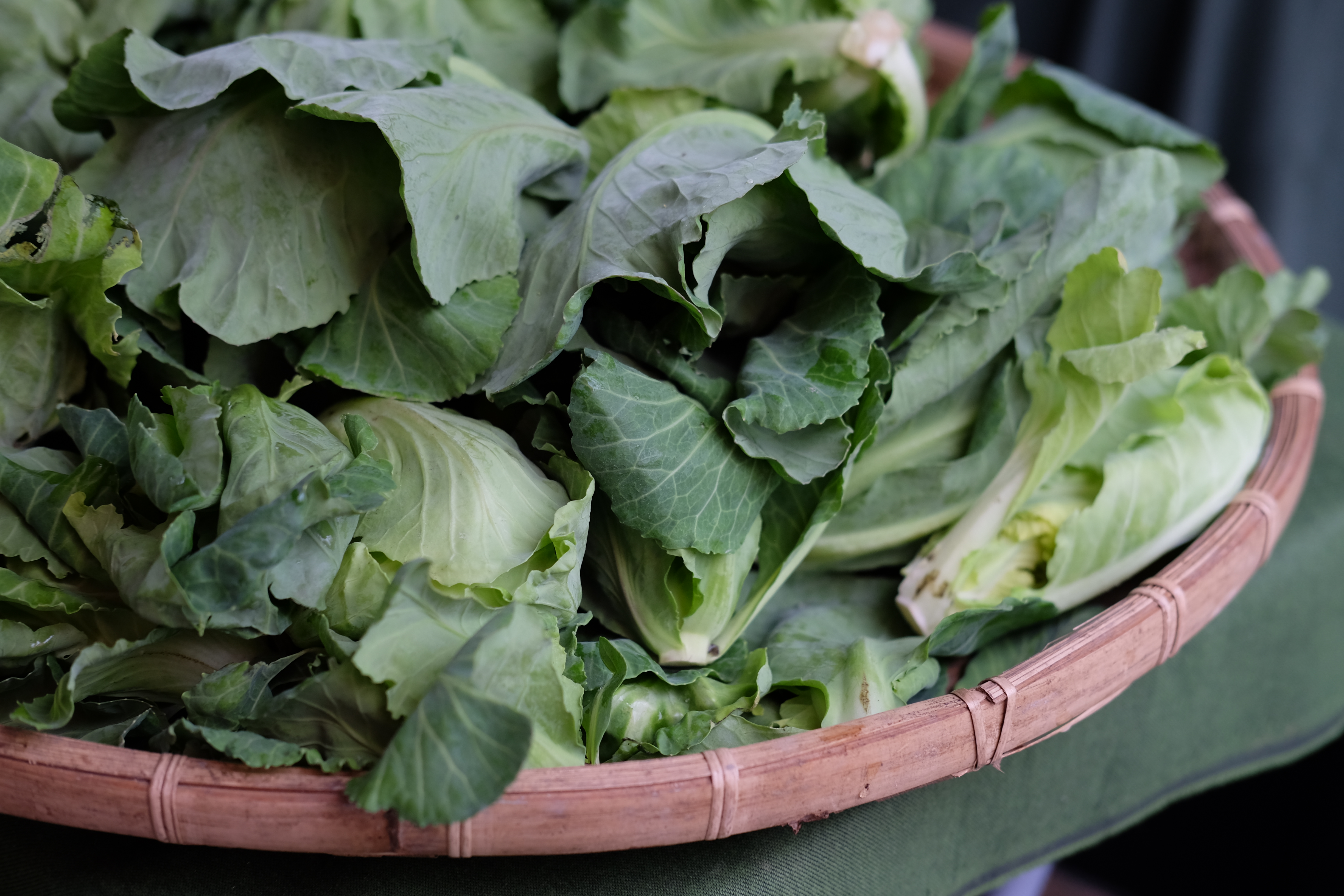 ผักแขนงดูอึ๋ม กวักมือเรียกให้ซื้อ //Water Garden organic Farmers Market, ไทเป ไต้หวัน