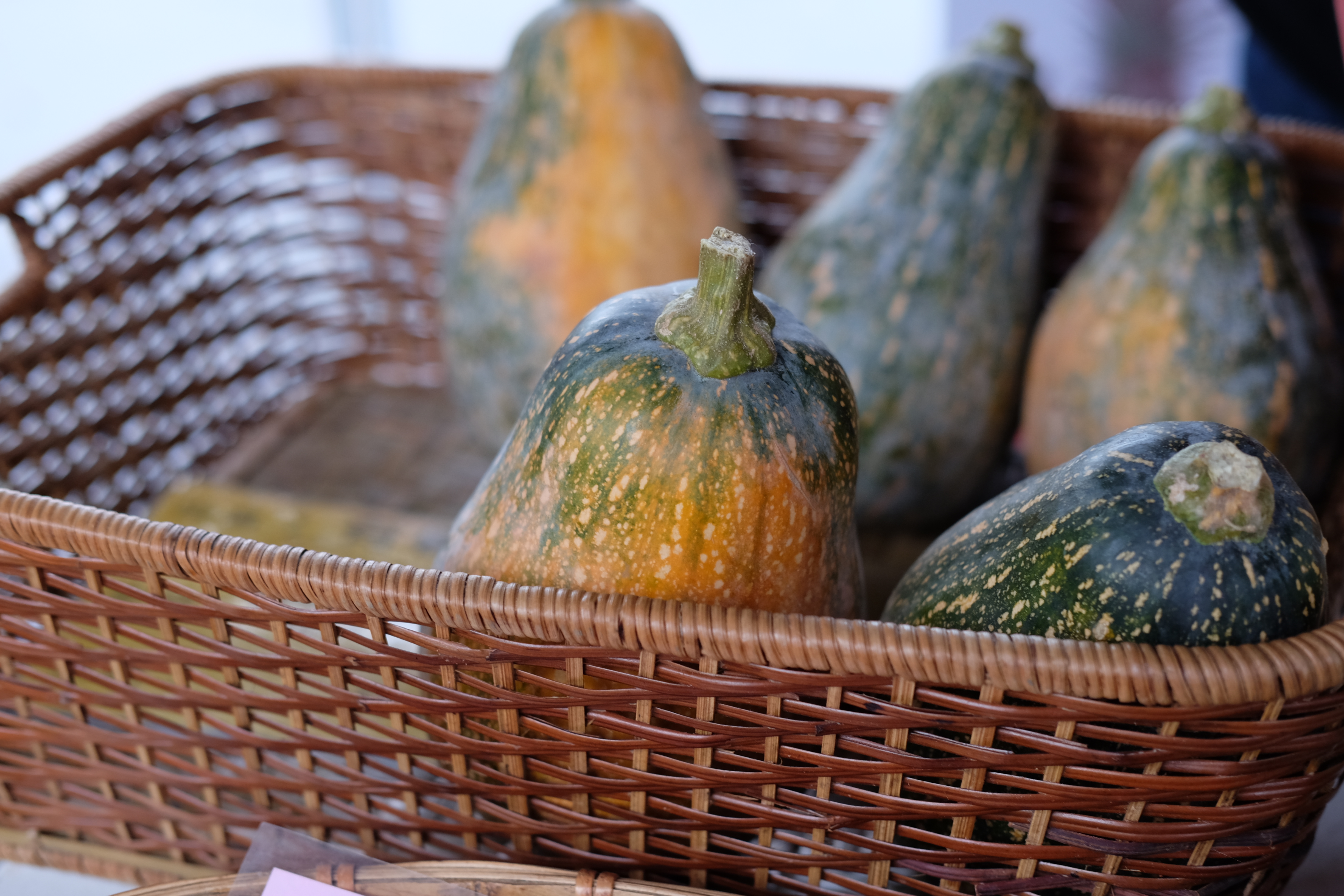 ฟักทองทรงแปลก / Water Garden organic Farmers Market, ไทเป ไต้หวัน