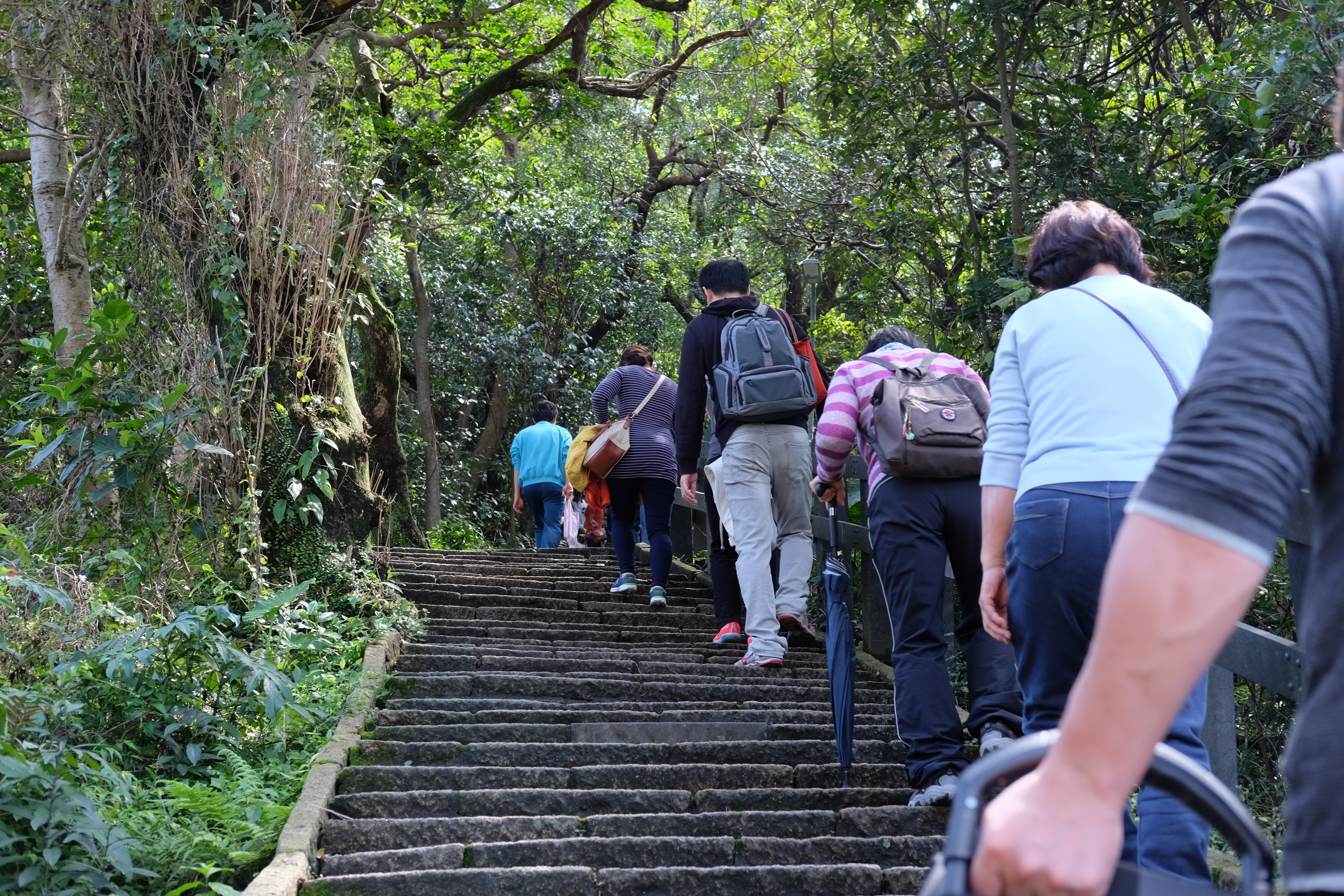 ทางเดินขึ้นมา คนเยอะมากๆ ช่วงนี้