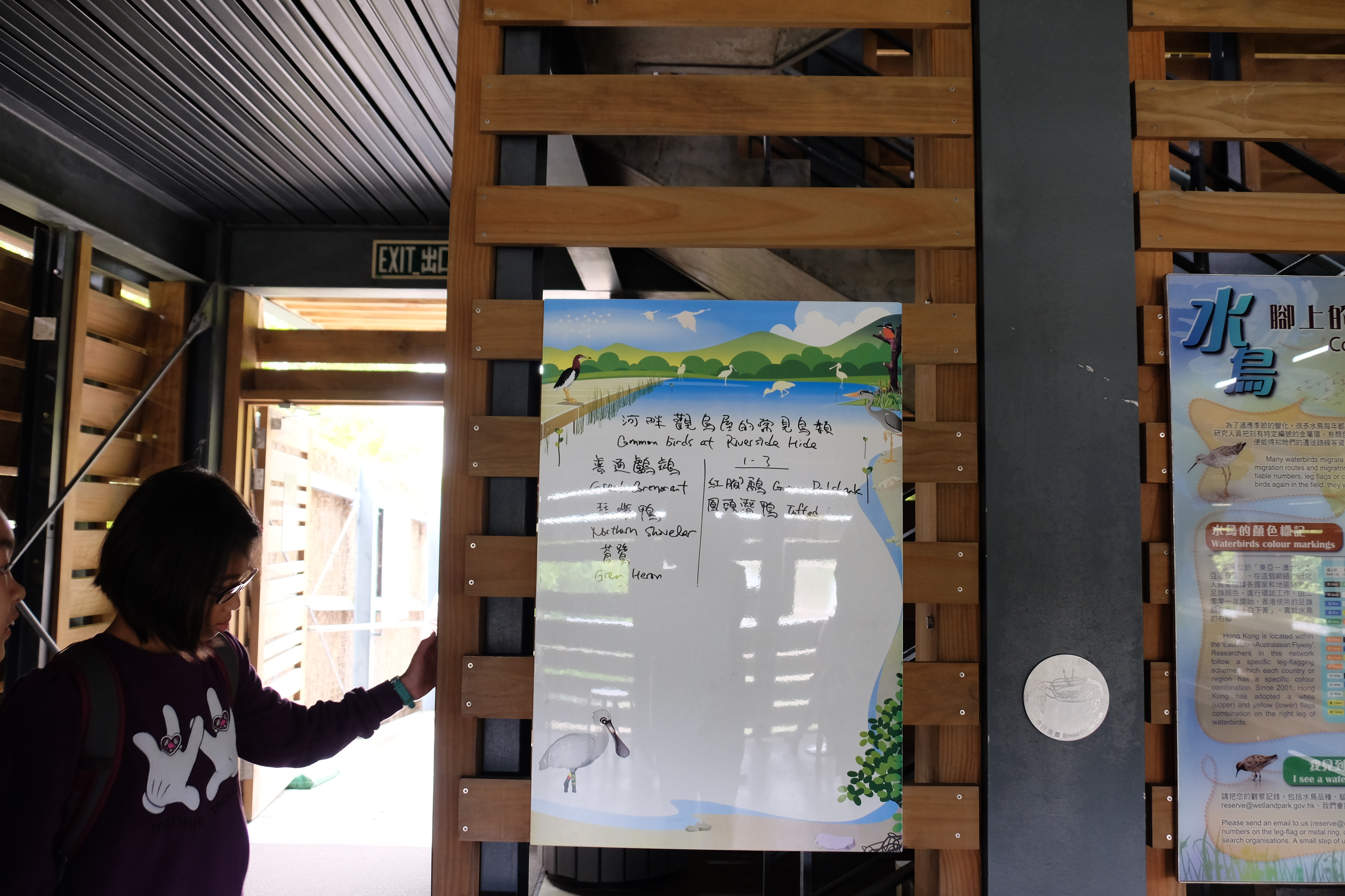 บอร์ดขึ้นชื่อนกที่จะเห็นวันนี้