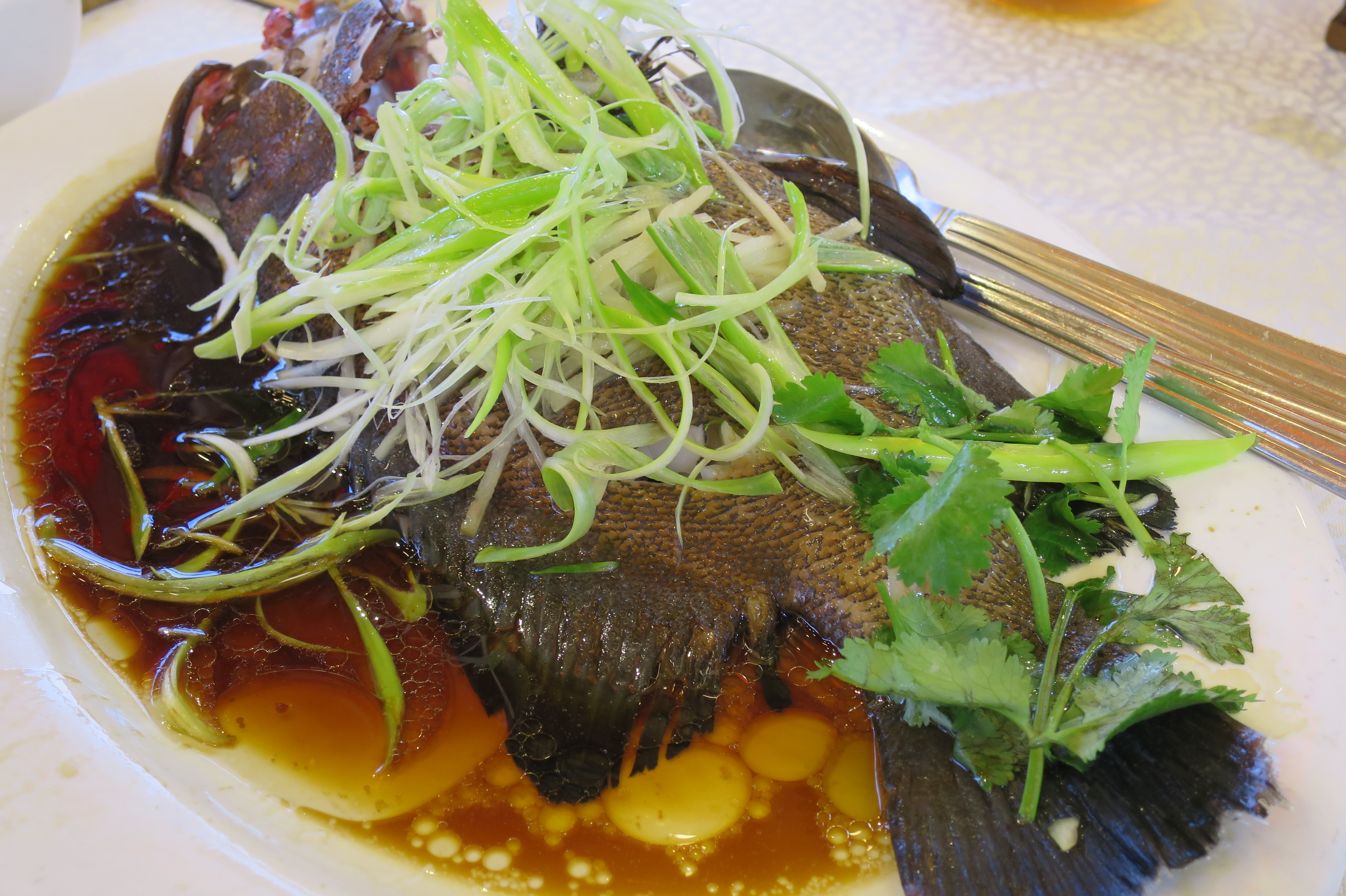 ปลาเก๋าแสนอร่อย