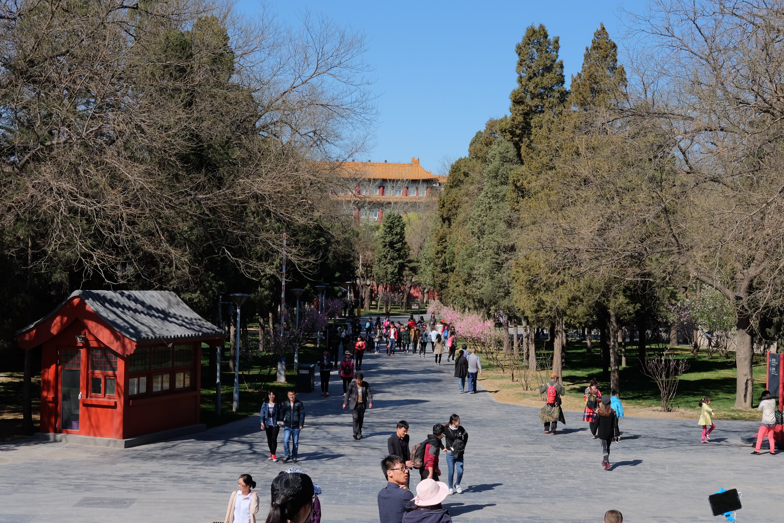 The Forbidden City