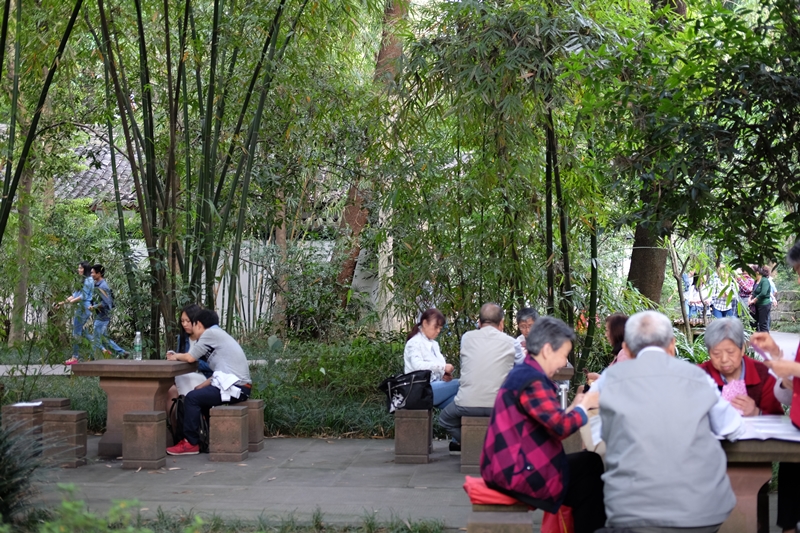 Du fu thatched cottage