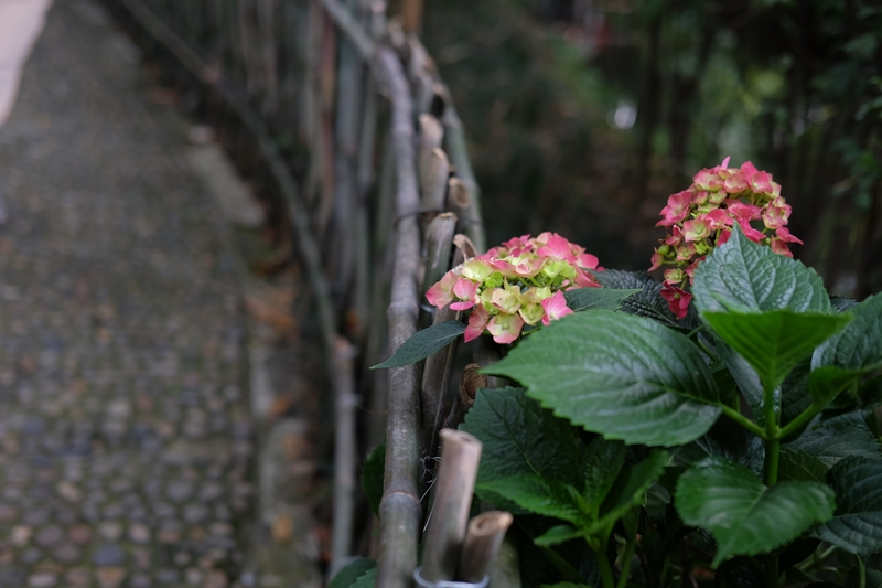 Du fu thatched cottage