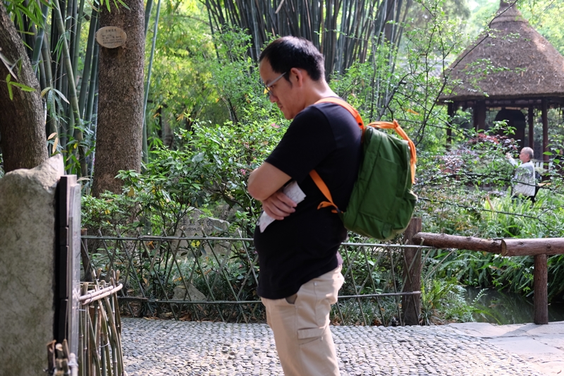 Du fu thatched cottage