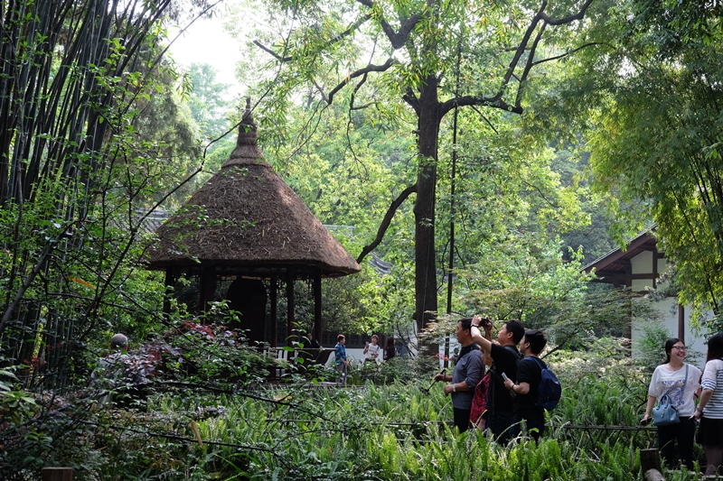 Du fu thatched cottage