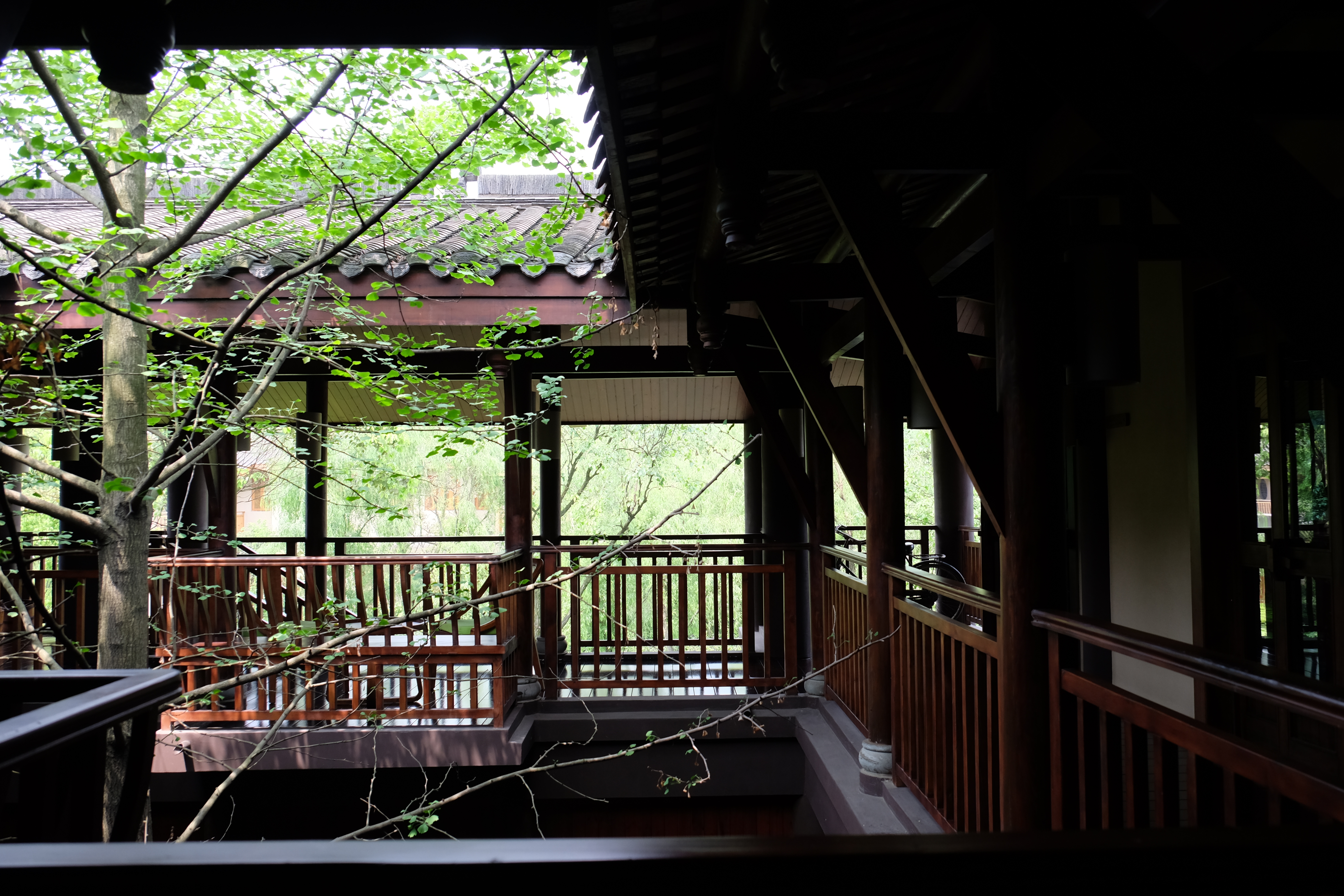 Six senses Qing Cheng mountain