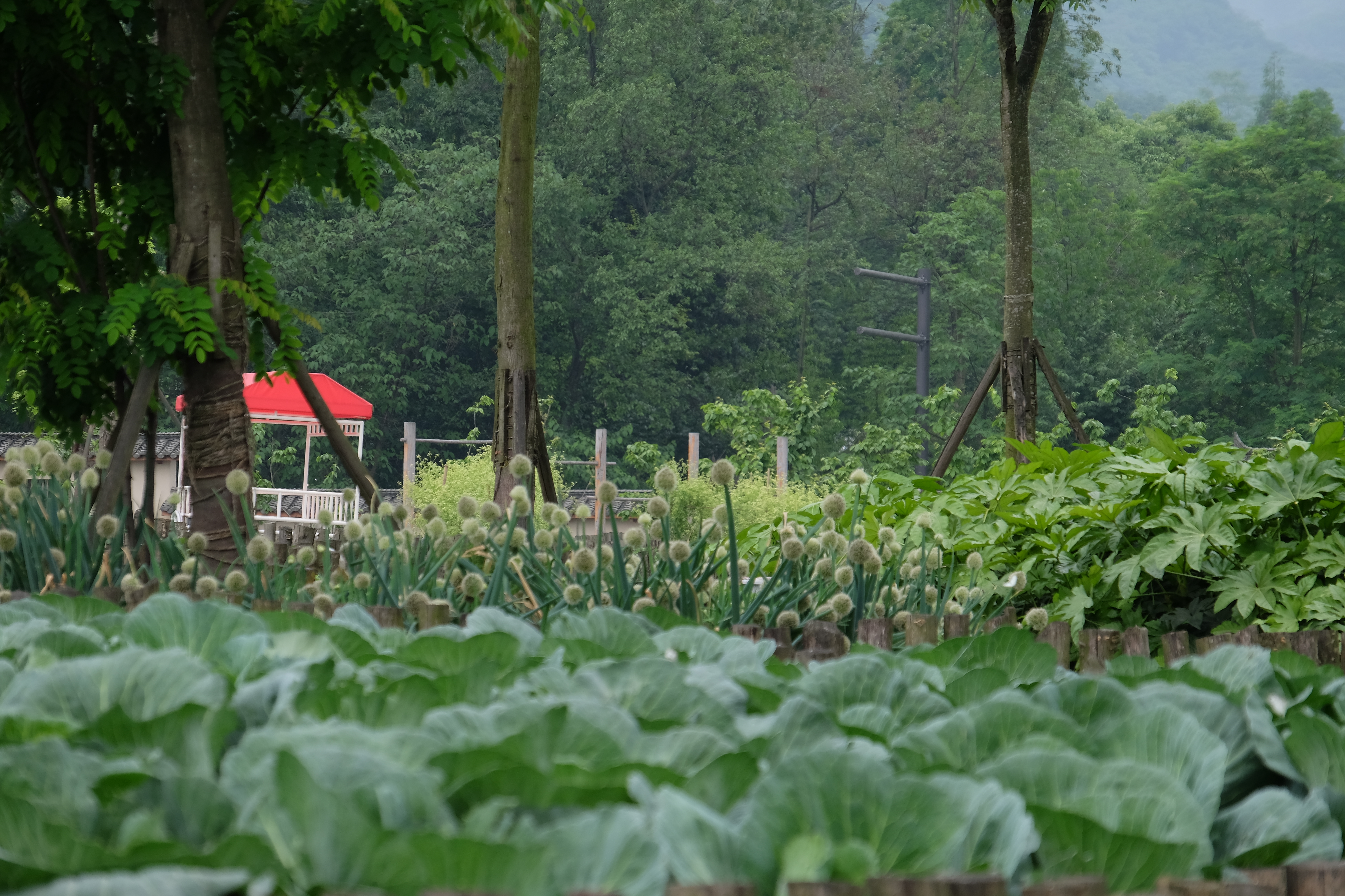 six senses qing cheng mountain