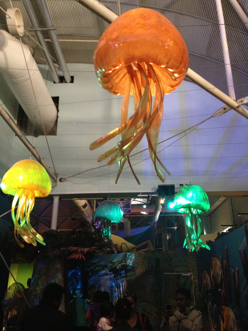 Sydney Sea Life Aquarium