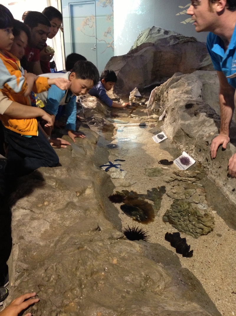 Sydney Sea Life Aquarium