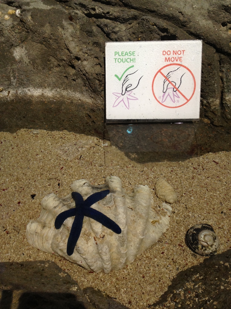 Sydney Sea Life Aquarium