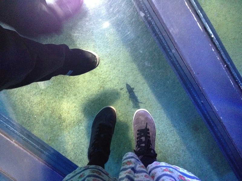 Sydney Sea Life Aquarium