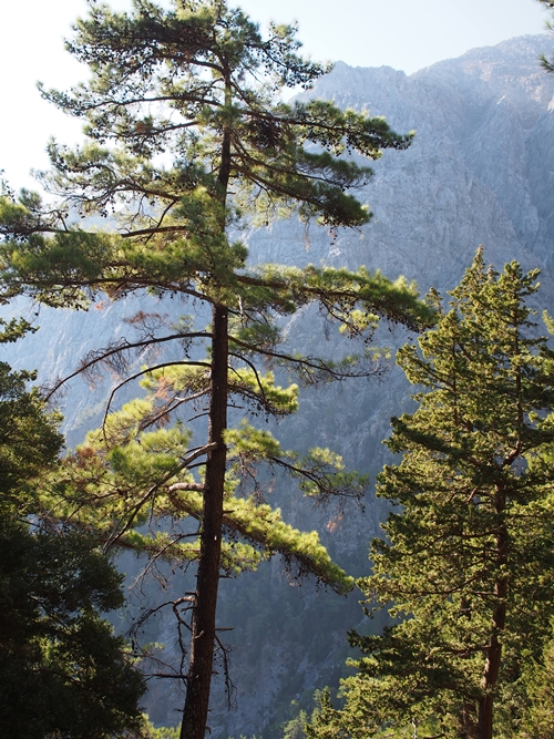 Samaria Gorge, Crete