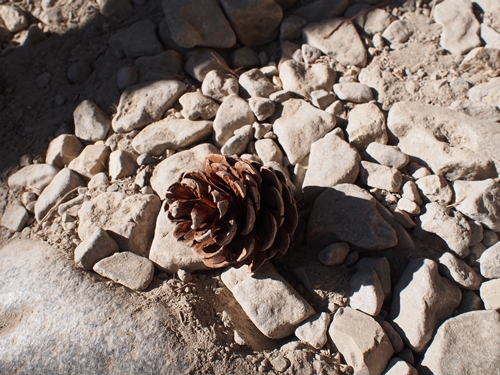Samaria Gorge, Crete