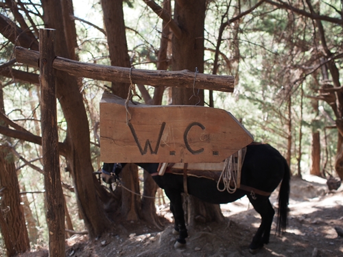 Samaria Gorge, Crete