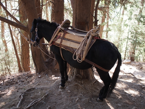 Samaria Gorge, Crete