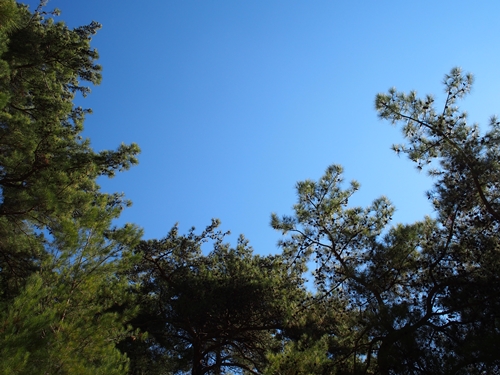 Samaria Gorge, Crete