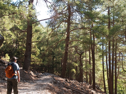 Samaria Gorge, Crete