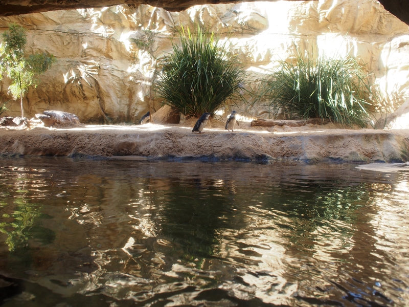 Sydney Sea Life Aquarium