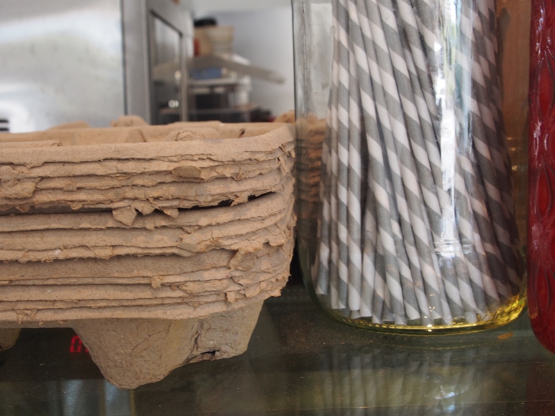 The Angry Fix, Sydney