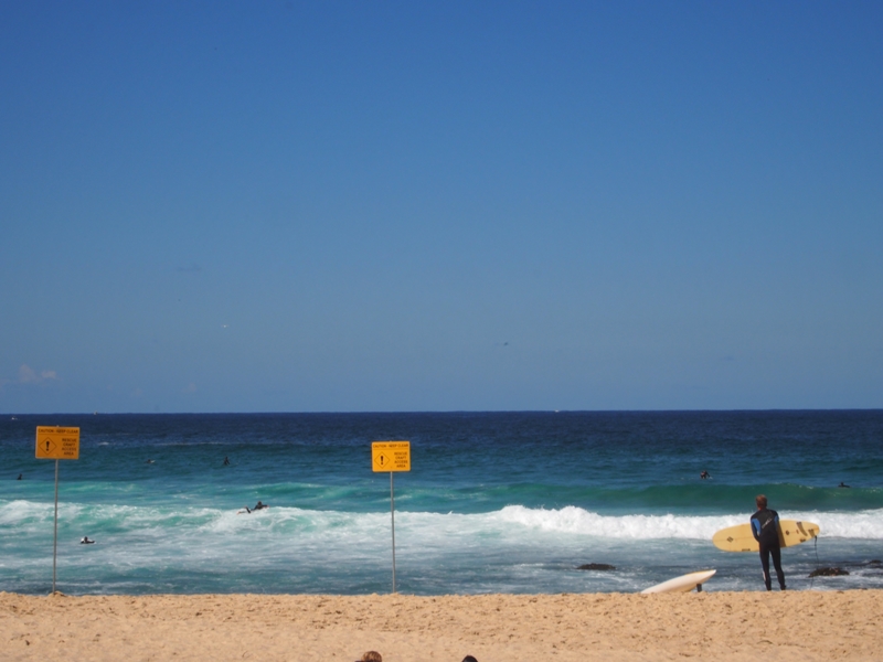 Bronte to Bondi Beach