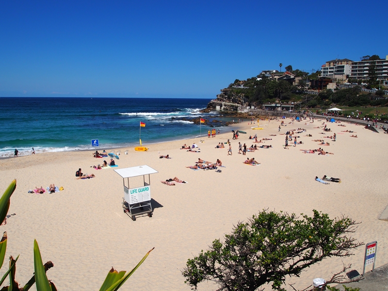 Bronte to Bondi Beach