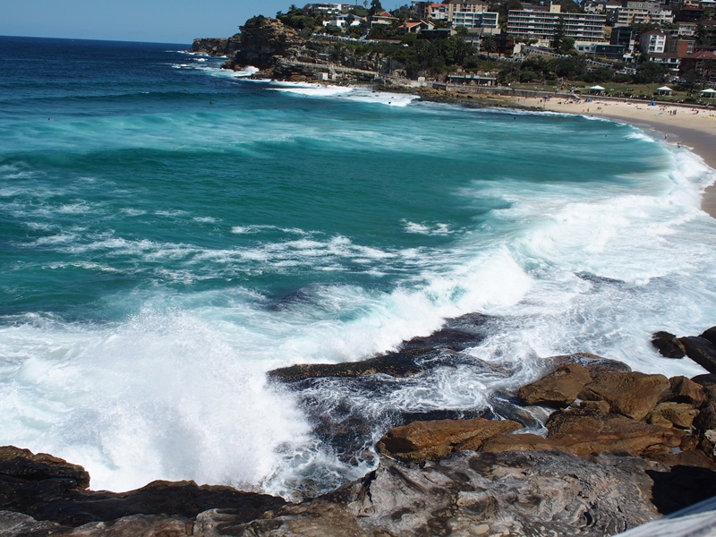 Bronte to Bondi Beach
