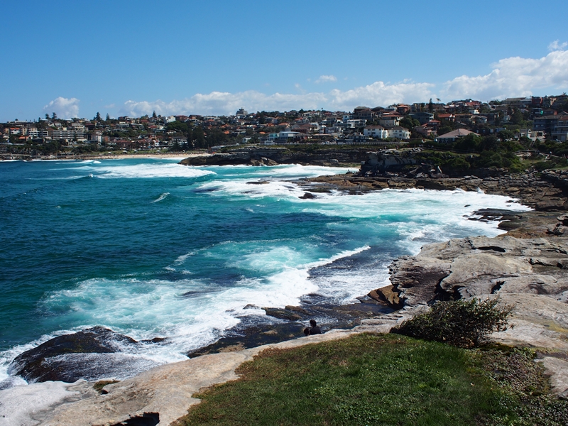 Bronte to Bondi Beach